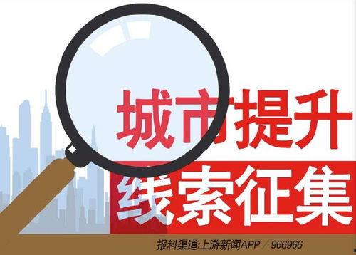 新闻1 1爆料热线,聚焦社会热点，揭示真相背后